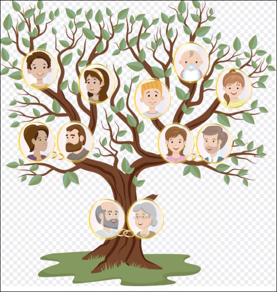 Pourquoi choisir un arbre pour sa généalogie familiale ?